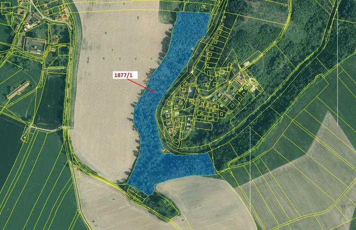 Dražba lesa, Římov, 49760 m2