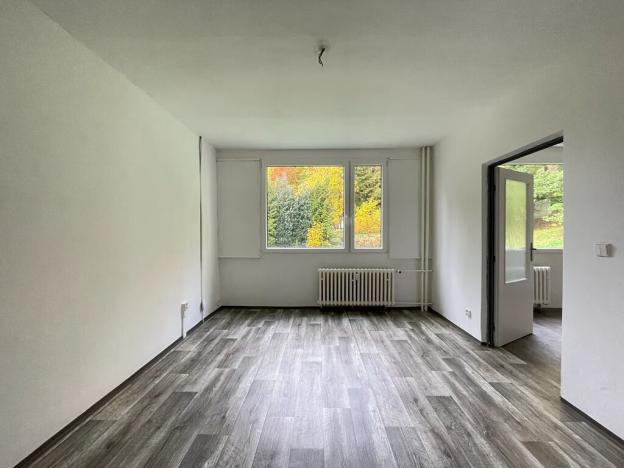 Pronájem bytu 1+1, Litvínov, Tylova, 38 m2