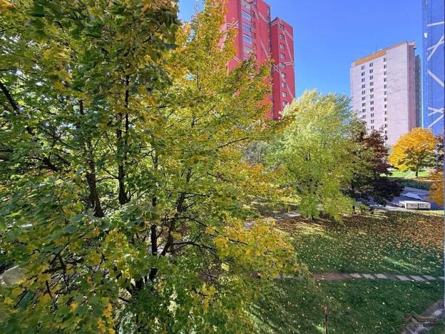 Pronájem bytu 3+1, Ostrava, Antonína Poledníka, 65 m2