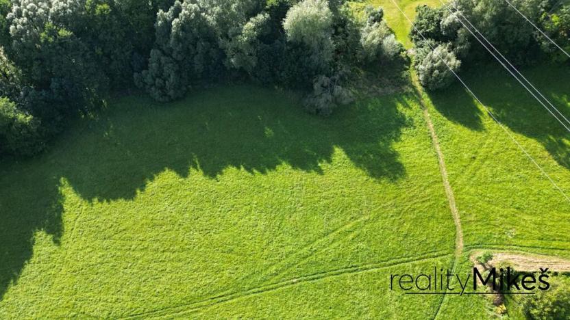 Prodej louky, Proseč pod Ještědem, 3713 m2