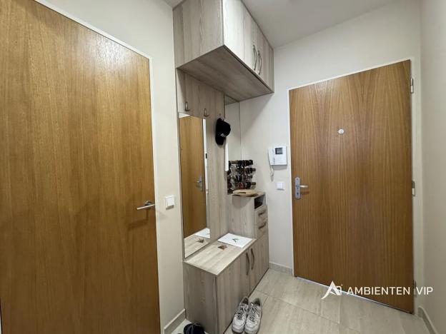 Pronájem bytu 1+kk, Brno, Božetěchova, 52 m2