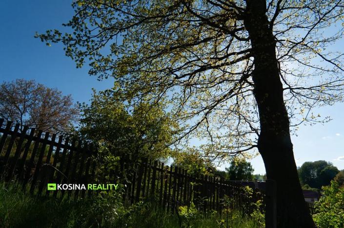 Prodej zemědělské usedlosti, Lipová, 230 m2