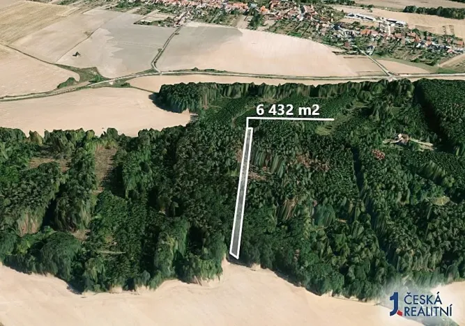 Prodej podílu lesa, Lukovany, 7046 m2