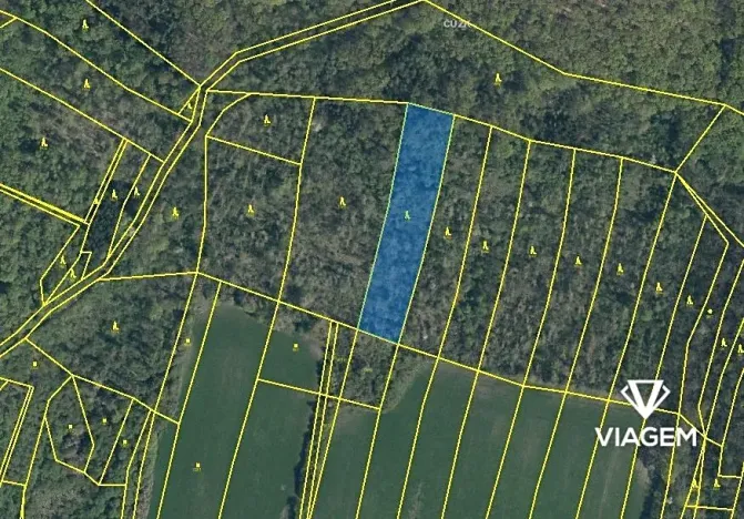 Prodej lesa, Dobrovice, 3778 m2