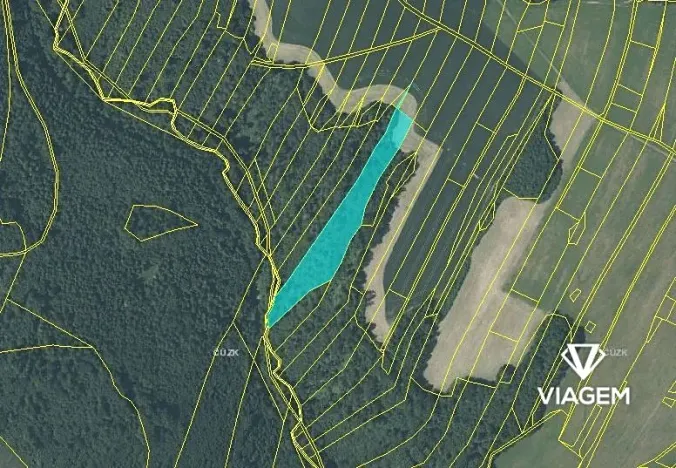 Prodej lesa, Fulnek, 9491 m2