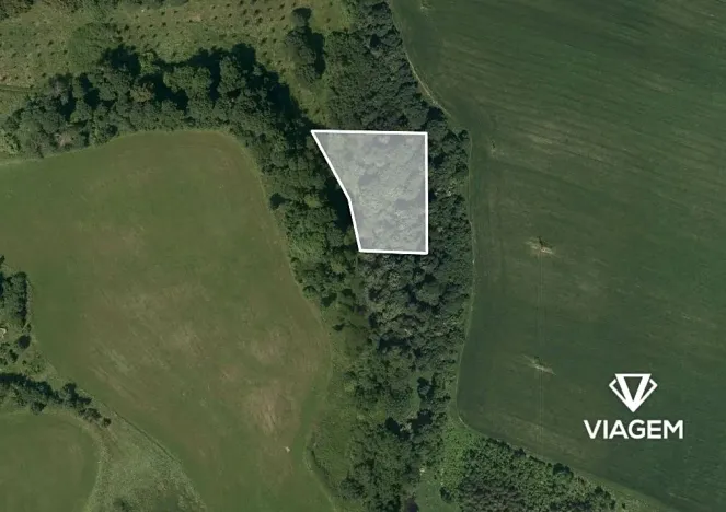 Prodej podílu lesa, Dvorce, 996 m2