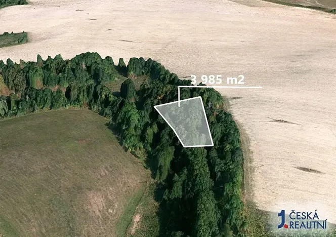 Prodej podílu lesa, Dvorce, 996 m2