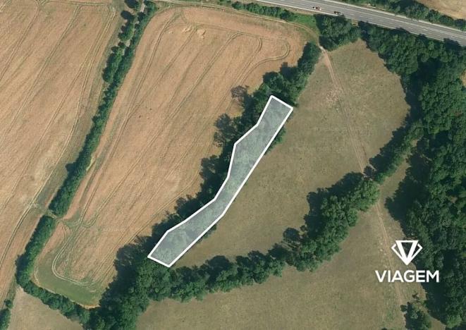 Prodej podílu lesa, Sobotka, 1141 m2