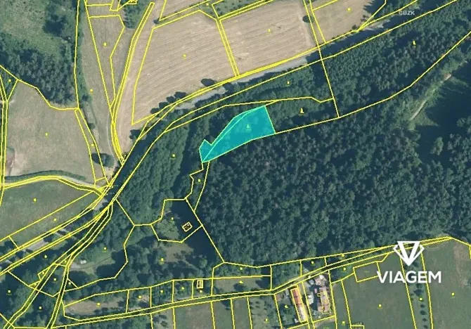 Prodej lesa, Držková, 1954 m2