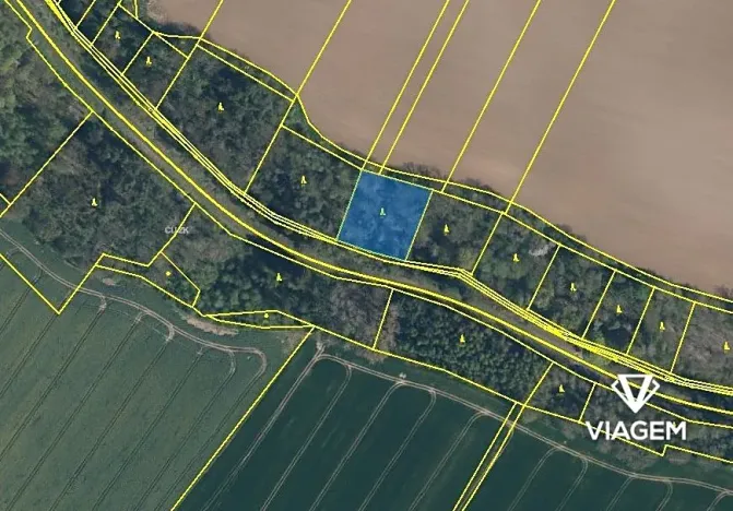 Prodej lesa, Katusice, 2456 m2