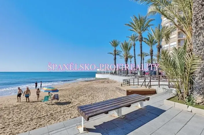 Prodej bytu 1+kk, Torrevieja, Španělsko, Calle Los gases, 40 m2