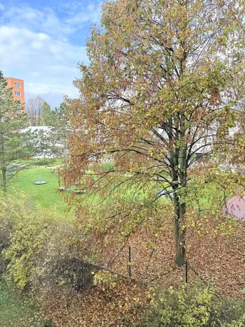 Pronájem bytu 2+kk, Liberec, Vackova, 42 m2