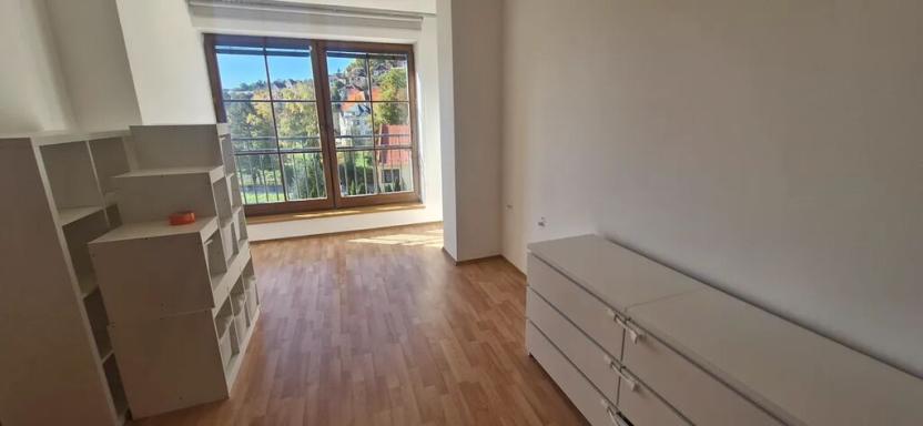 Pronájem bytu 4+kk, Luhačovice, Dr. Veselého, 170 m2