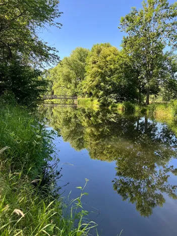Prodej louky, Šestajovice, 3641 m2