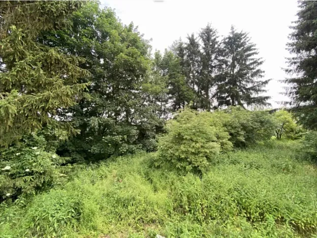 Dražba louky, Bohumilice, 5491 m2