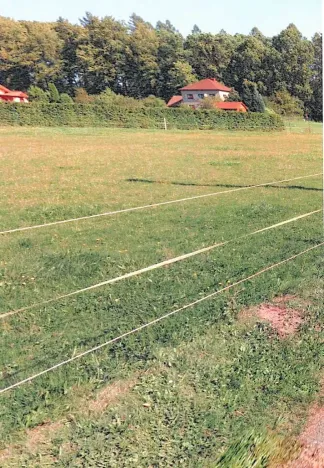 Prodej pozemku, Sedliště, 338 m2