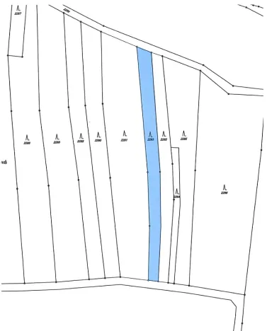 Prodej lesa, Ochoz, 1833 m2