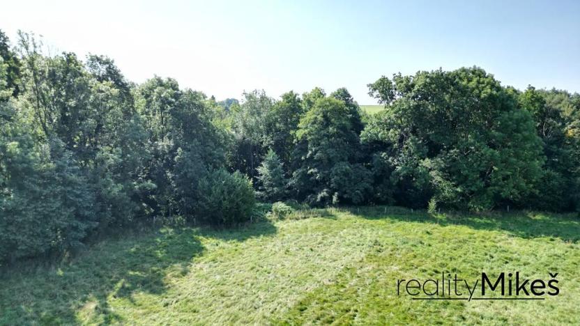 Prodej louky, Křižany, 2663 m2