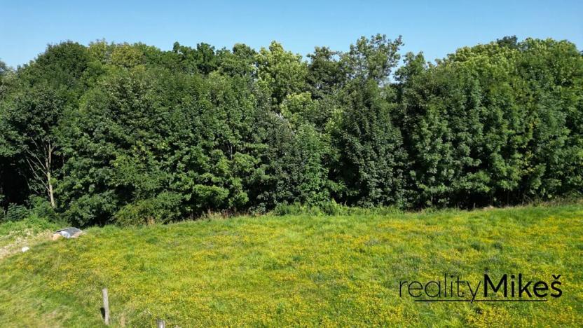 Prodej louky, Křižany, 2663 m2