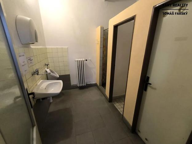 Pronájem obchodního prostoru, Ústí nad Labem, Seifertova, 195 m2
