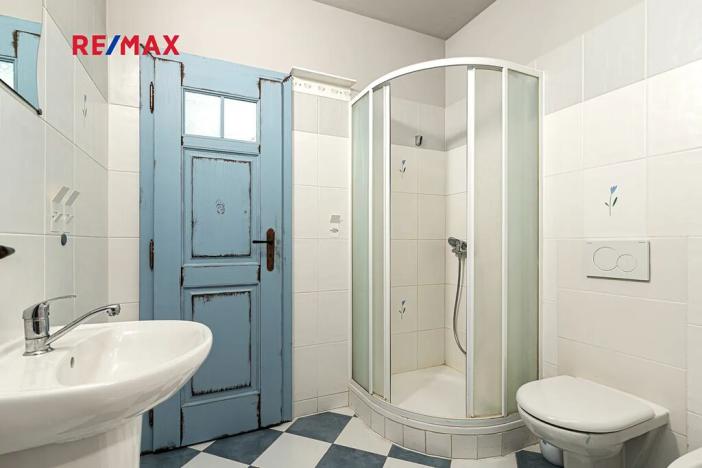 Prodej komerční nemovitosti, Pavlov, 245 m2