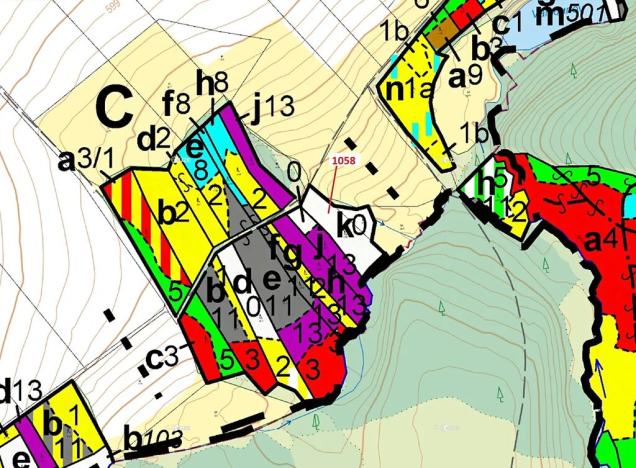 Dražba lesa, Moraveč, 2350 m2