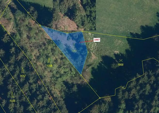 Dražba lesa, Moraveč, 543 m2