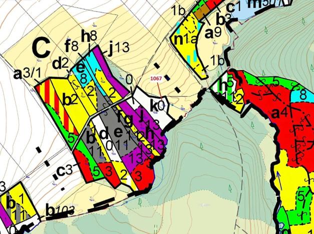 Dražba lesa, Moraveč, 543 m2