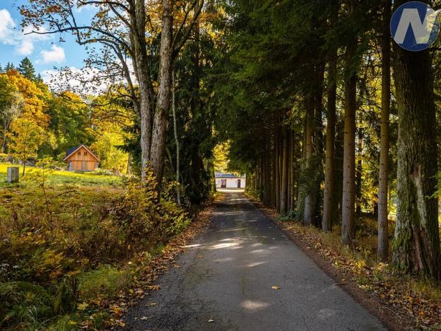 Prodej louky, Stožec, 6572 m2