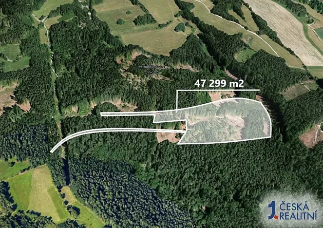 Prodej podílu lesa, Železný Brod, 23649 m2