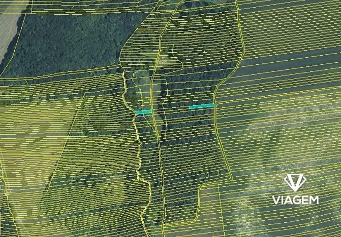 Prodej lesa, Hradčovice, 805 m2