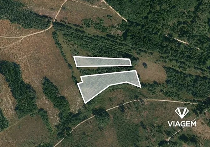 Prodej lesa, Dačice, 13651 m2