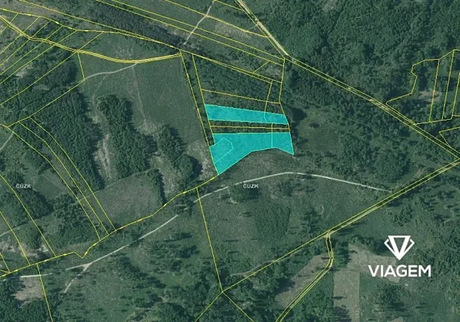 Prodej lesa, Dačice, 13651 m2