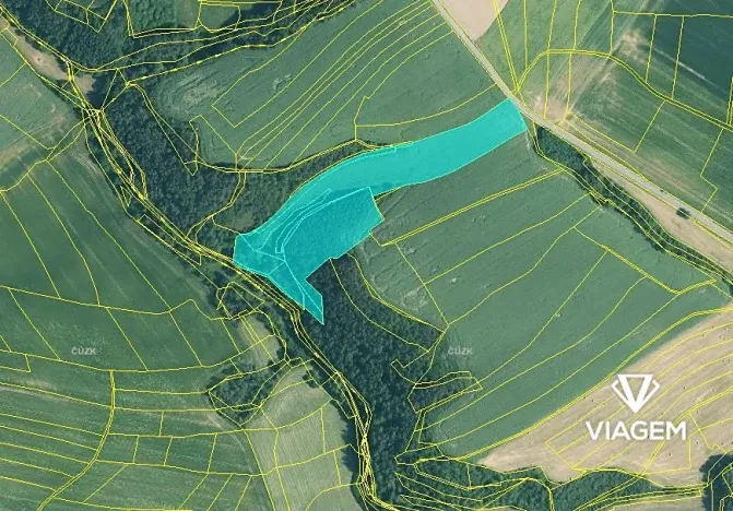 Prodej podílu lesa, Kaceřov, 4818 m2