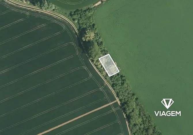 Prodej lesa, Počenice-Tetětice, 630 m2