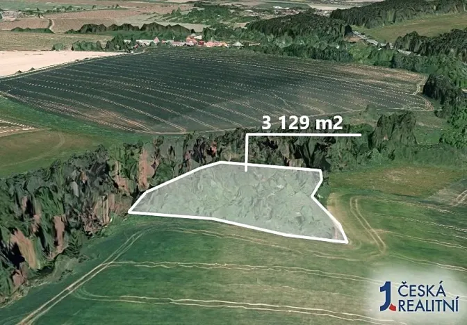 Prodej podílu lesa, Suchá, 1564 m2