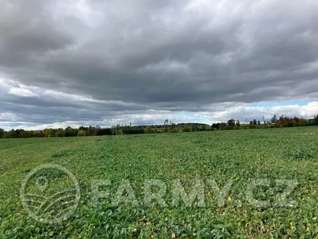 Prodej pole, Arneštovice, 51160 m2