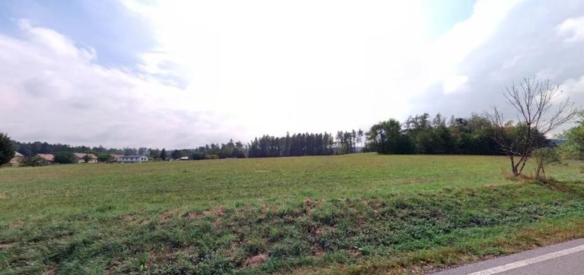 Prodej louky, Vyžice, 8234 m2