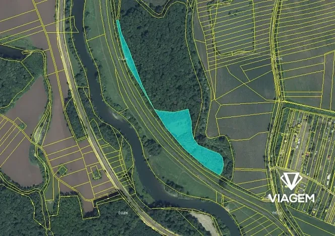 Prodej podílu lesa, Ladná, 1692 m2