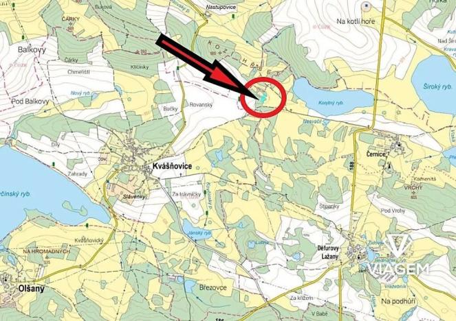 Prodej podílu lesa, Chanovice, 1232 m2