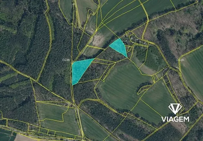 Prodej podílu lesa, Snědovice, 4193 m2