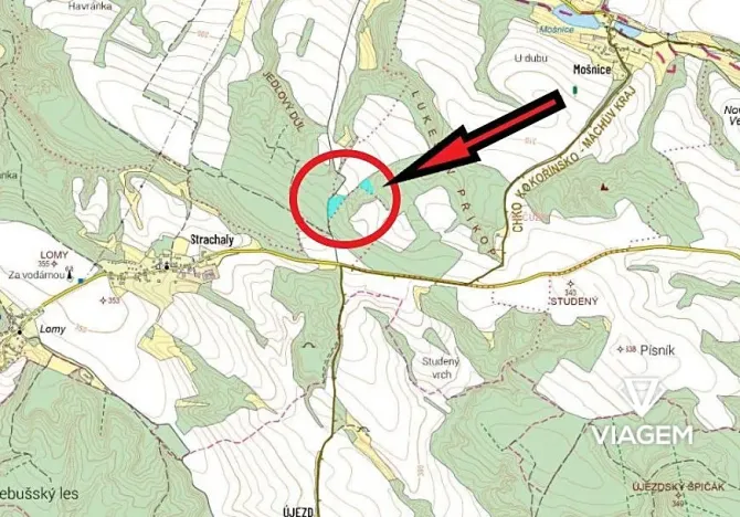 Prodej podílu lesa, Snědovice, 4193 m2