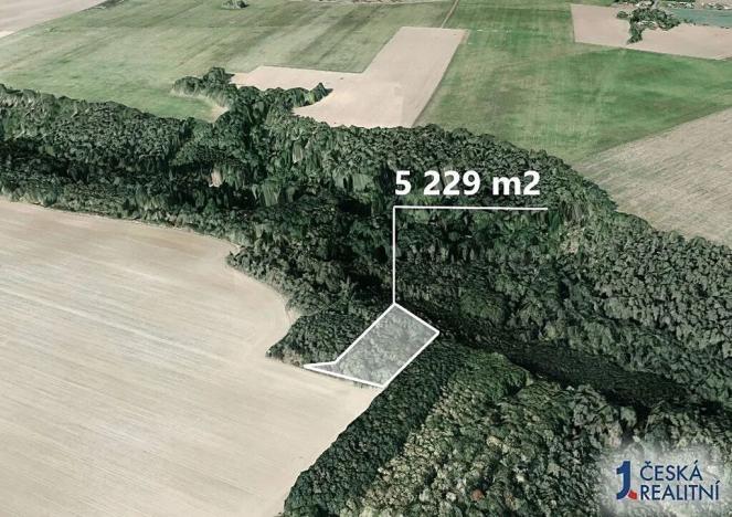 Prodej podílu lesa, Mělnické Vtelno, 980 m2