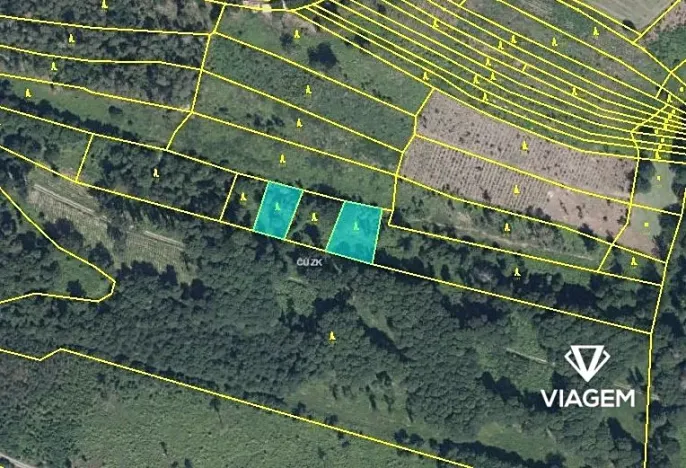 Prodej podílu lesa, Dešov, 806 m2