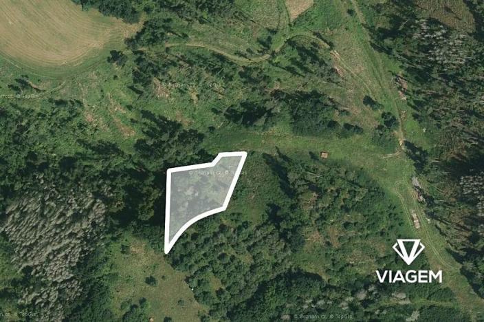 Prodej lesa, Obora, 2560 m2