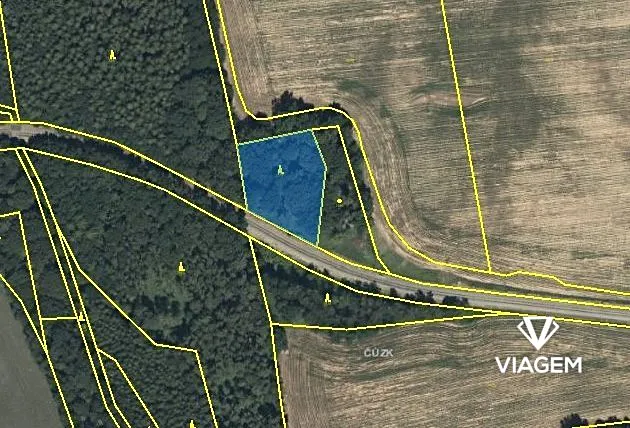 Prodej podílu lesa, Mladějov na Moravě, 1594 m2