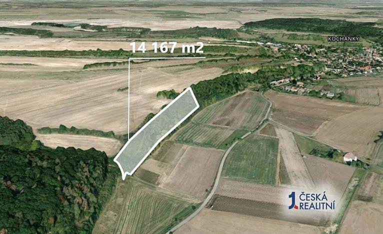 Prodej podílu lesa, Kochánky, 10625 m2