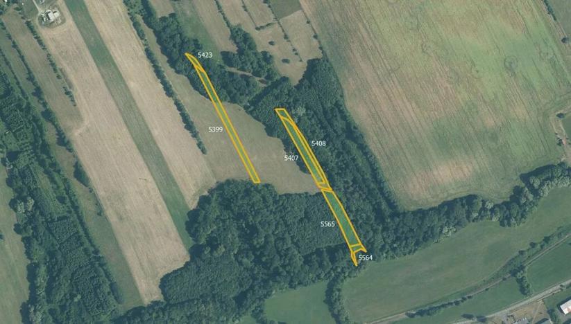 Prodej pole, Police, 51014 m2