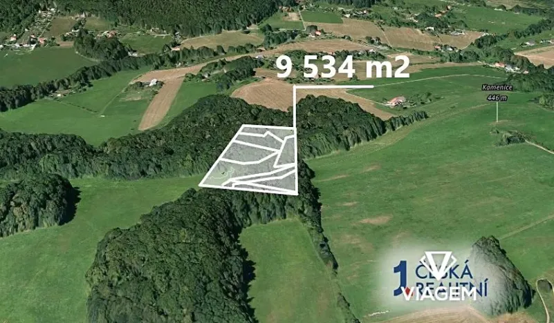 Prodej podílu lesa, Tichá, 6435 m2