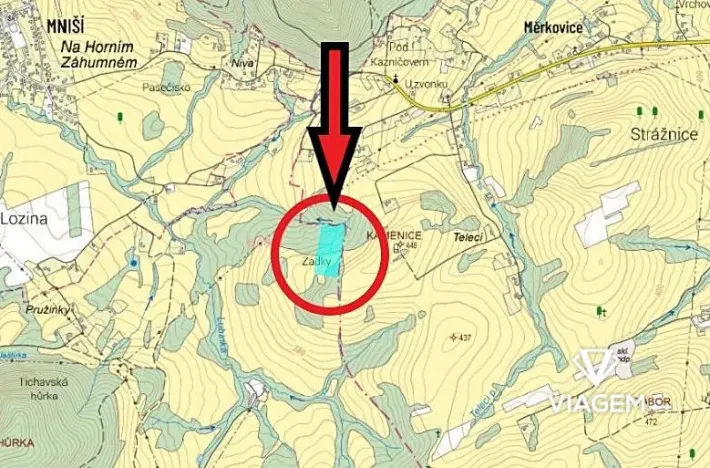 Prodej podílu lesa, Tichá, 6435 m2